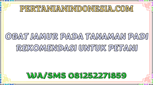 Obat Jamur Pada Tanaman Padi Rekomendasi Untuk Petani